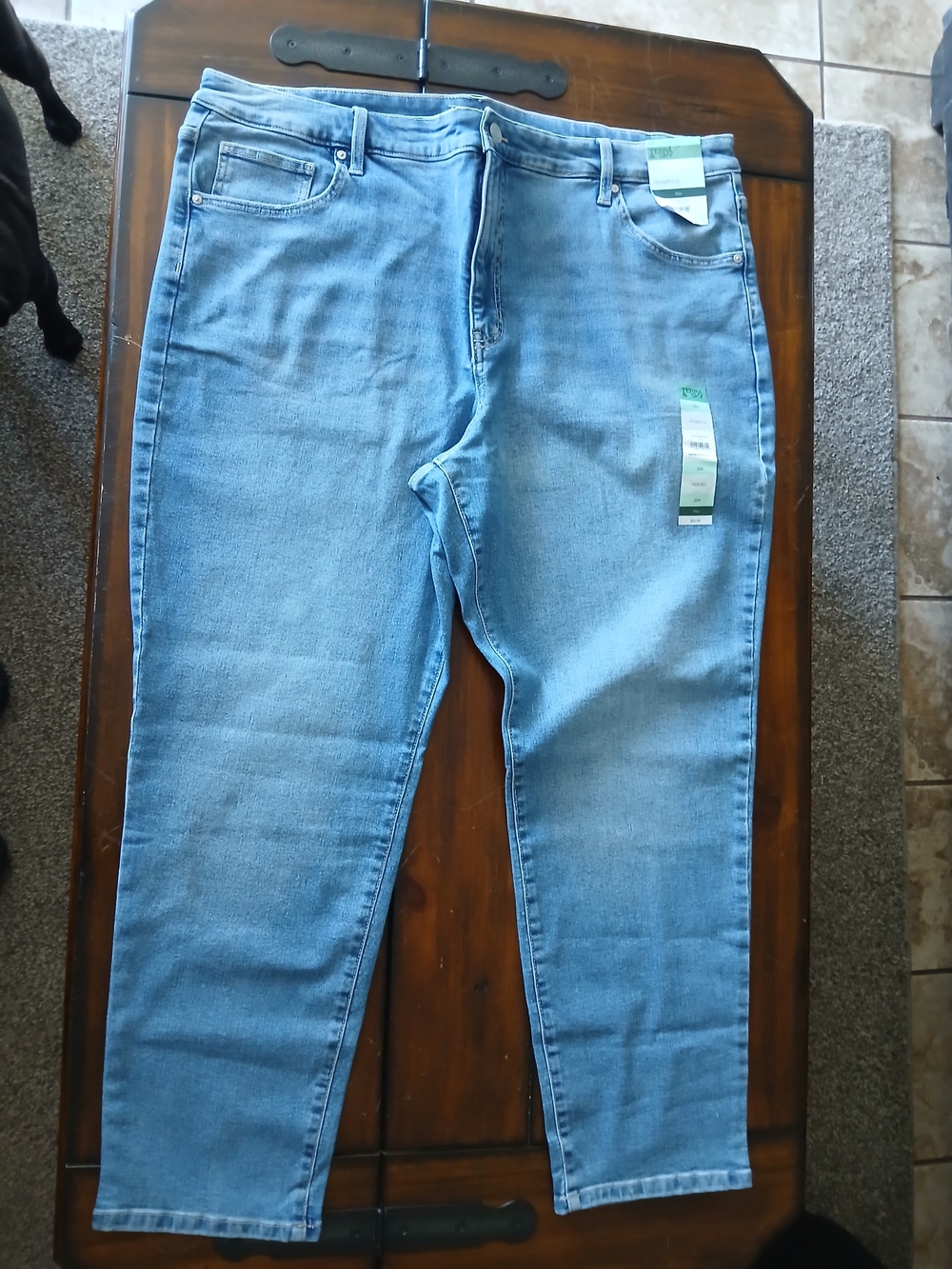 Terra & Sky Light Blue Women’s Jeggings